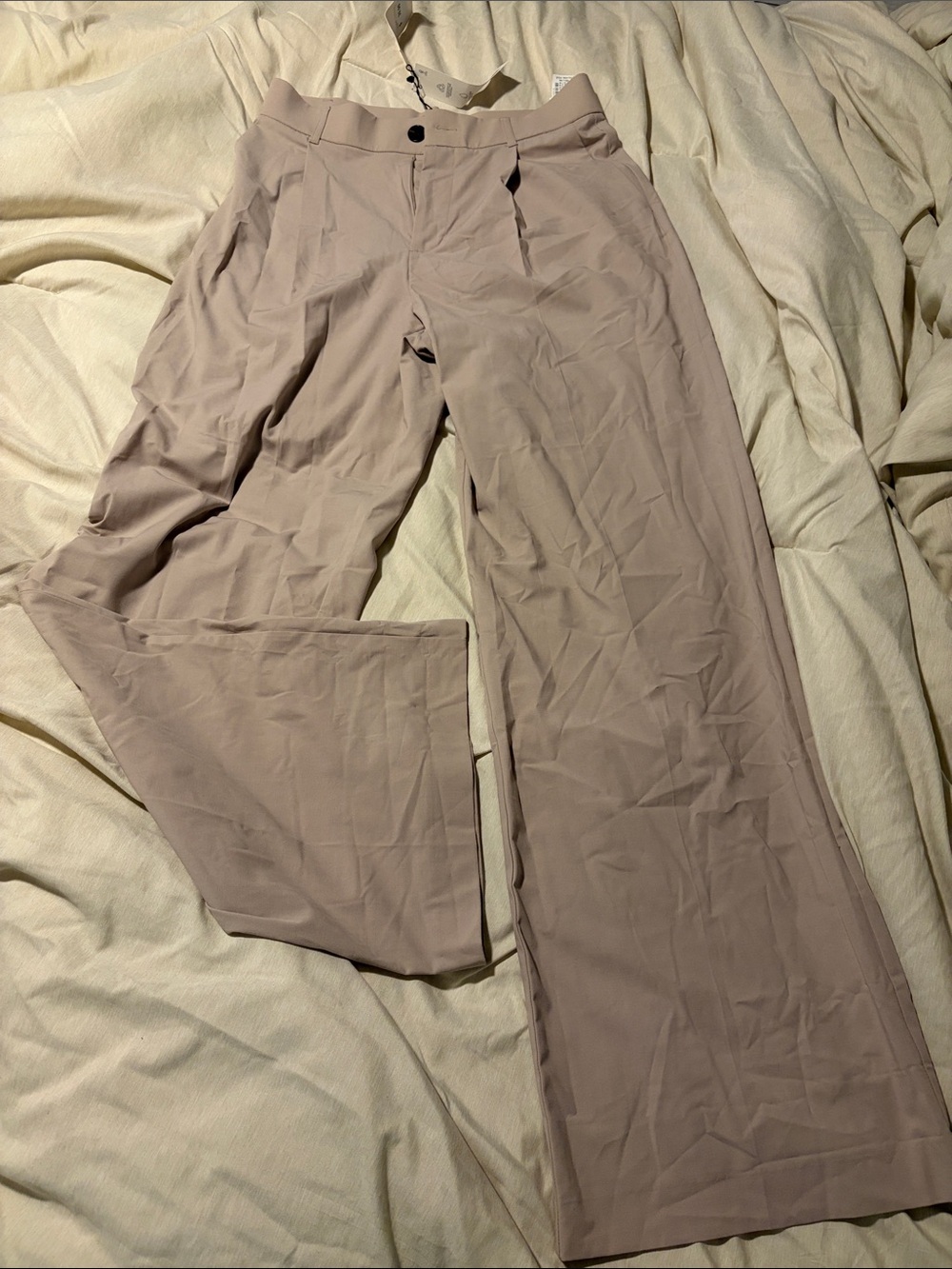 Zara Wide-Leg Dress Pants in Light Taupe